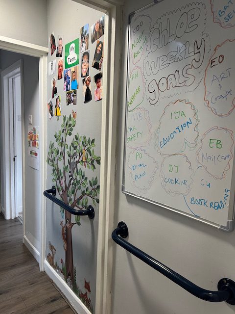 The Pines – Oakfield