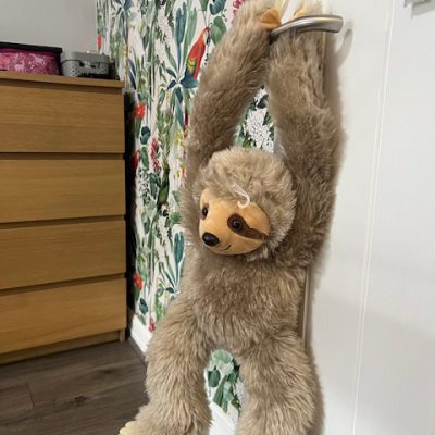 The Pines – Oakfield