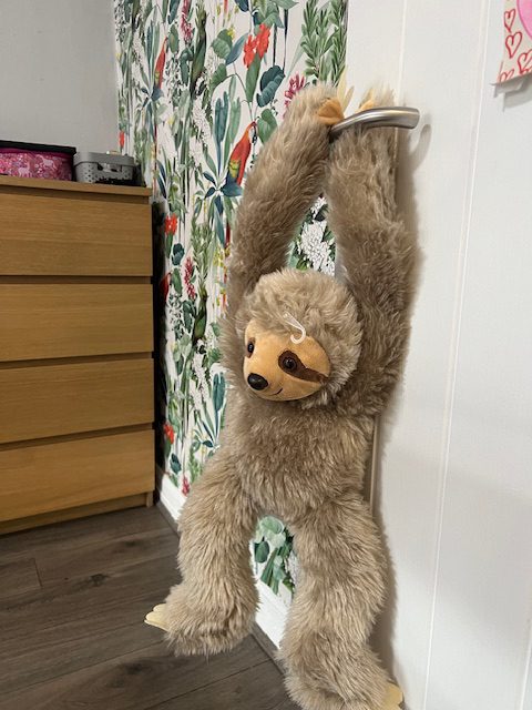 The Pines – Oakfield